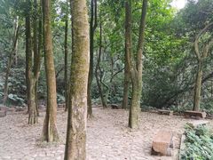 -广州市帽峰山景区