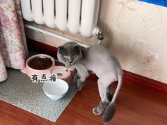 -沐沐家宠物(成寿寺店)