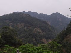 -如意楼农家菜(雁荡山店)