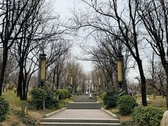 -清凉山国家森林公园