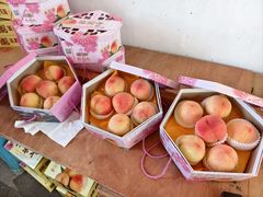 -南汇水蜜桃采摘(大团店)