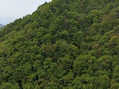 -塔云山