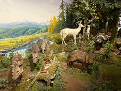 -陕西自然博物馆