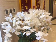 -华夏良子(京密路店)