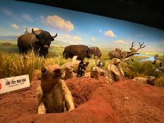 -陕西自然博物馆