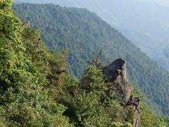 -江西阳明山国家森林公园