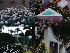 -广州文化公园