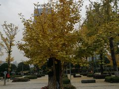 -百林公园-两江幸福广场