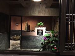 -泉城欧乐堡戏水湾艺术养生温泉