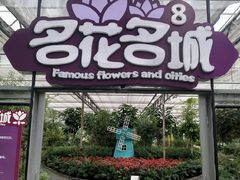 -南宫五洲植物乐园