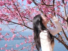-南诏风情岛