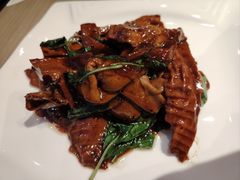 -菩提树·素食餐厅(汇智国际商业中心店)