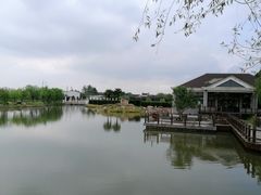 -上海鲜花港