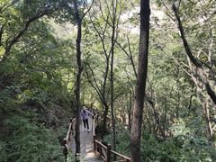 -大岭沟猕猴桃谷风景区
