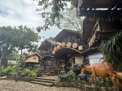 -海南槟榔谷黎苗文化旅游区