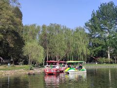 -仁和公园(顺义区)