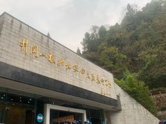 -井冈山革命烈士陵园