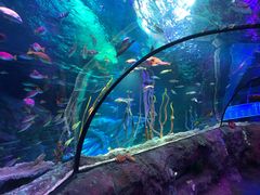 -沈阳海洋探索中心