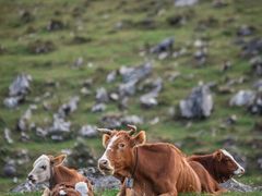 -重庆云阳龙缸景区