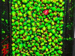 -上海跨国采购会展中心