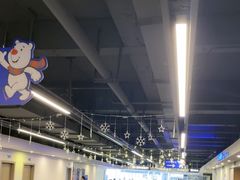-世界之窗阿尔卑斯冰雪世界