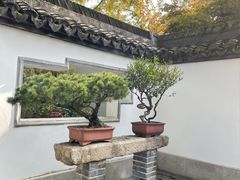 -上海醉白池公园