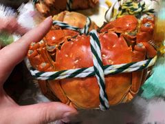 -七的湖·晚芳亭·阳澄湖农家菜·大闸蟹(莲花岛店)