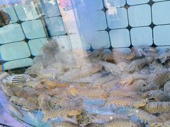 -日照大牌檔•小船海鲜(万平口店)