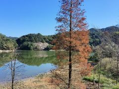 -广州市石门国家森林公园