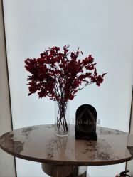 -Fundi张玉珊修身堂·indiba·BTL科技瘦身
