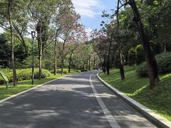 -云溪植物园
