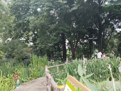 -成都市活水公园