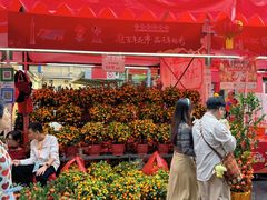 -越秀西湖花市(广州城市广场花卉店)