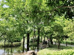 -贵阳市花溪国家城市湿地公园