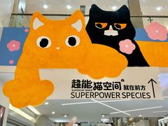 -PO PARK东方宝泰