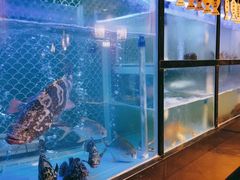 -顺意·顺德家乡菜(国际人才大厦店)