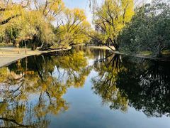 -上海共青森林公园