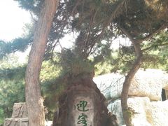 -山叶口景区