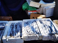 -芦潮港集贸市场