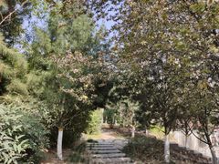 -西安青龙寺遗址景区
