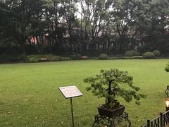 -申粤轩酒楼·三十年粤菜经典(丁香花园店)