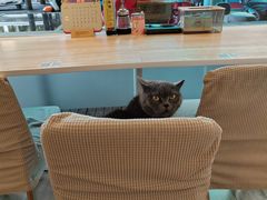 -春笙食堂.丼饭拉面寿司(GOGO新天地店)