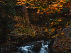 -九如山休闲旅游度假区
