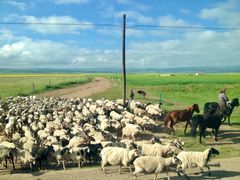 -青海湖国家重点风景名胜区