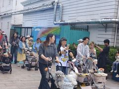 -海合安武汉极地海洋公园