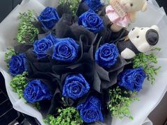 -赛卡联盟WSK卡丁车俱乐部