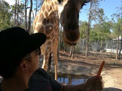 -清迈夜间动物园