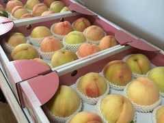 -南汇新场正宗水蜜桃采摘