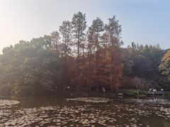 -杭州植物园