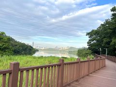 -梧桐山风景名胜区